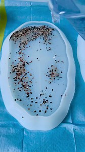 1K views | Experience the magic of Studio Scenes! ✨ Our collection...