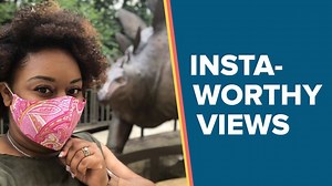 43K views · 279 reactions | Buckle up and enjoy a pterosaur’s-eye view of Fernbank! With three floors of immersive exhibits indoors* and 75 acres of fresh-air adventures outdoors, Fernbank offers A World of WOW for all ages with Insta-worthy views, tons of fun inside and out, and plenty of room to roam safely. | Fernbank Museum | Facebook