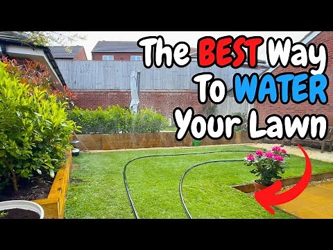 Complete Lawn Watering Guide - Water Your Lawn the RIGHT Way