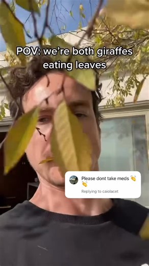 Luke Cook on Instagram: "Never! #giraffe"