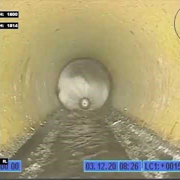 The Warthog WGR Magnum Root Destroyer in the Drain Pipe