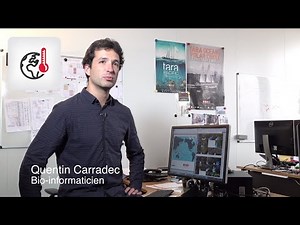 [Interview] Bioinformaticien pour la mission Tara Pacific