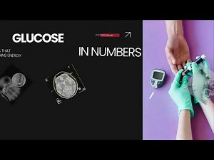 Understanding Glucose in the Body | How Your Body Uses Sugar for Energy