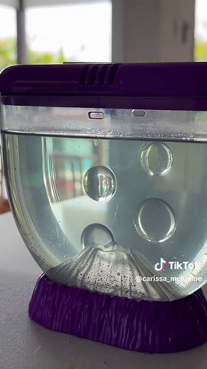 Caring for Sea Monkeys: A Guide for Aussie Mums