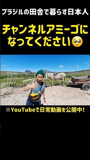 ブラジルで暮らす日本人夫婦の日常が盛りだくさんのチャンネルです🥹#ブラジル #海外生活 #田舎暮らし