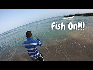 SHORELINE FISHING IN TOBAGO! - The Best Island In The Caribbean For Land Based Fishing