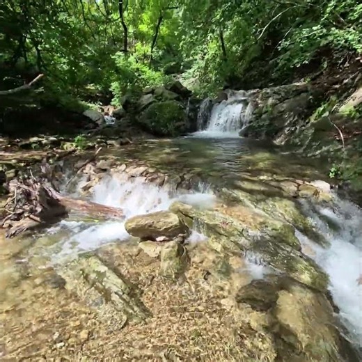 용인광교산 고기리계곡7s 이단병풍폭 숏[#계곡물멍-유철민변호사의 힐링] Sound of waterfall