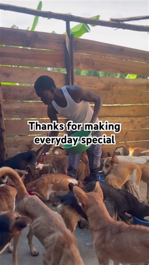 We’re still on an issue of helping shelter doggies #aspca #shelterpup #puppyraiser #fosterpuppies