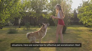 Pet Socialization Tips
