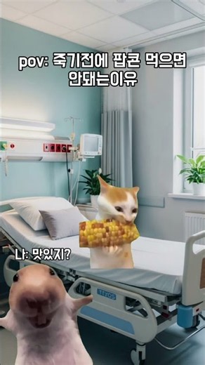 죽기전에 옥수수 먹으면 안돼는이유