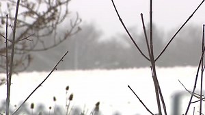 11K views · 175 reactions | 'PUSH, PUSH, PUSH': Baby born in car along local highway. | Fox 8 News | Facebook