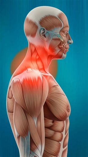 Shoulder Pain Explained | Causes, Posture & Easy Treatment#facts #shorts #trending