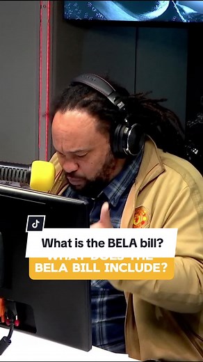 Understanding the BELA Bill in South Africa