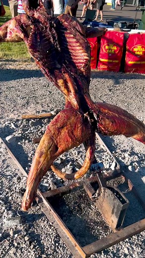 You ever tried mountain lion? #wildanimals #exoticfood #cookoff #barbecue #openfirecooking #fyp