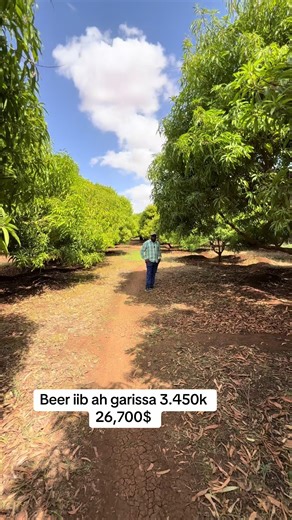 Buy Great Beer and Juice in Garissa