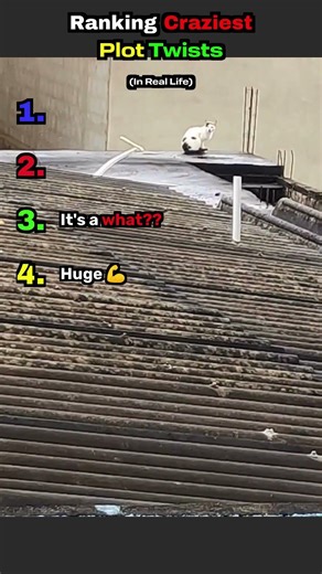 Ranking Craziest Plot Twists #shorts #shocking