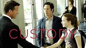 Custody 2007