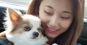 TWICE Has 10 Furry Little friends…This Is Who They Are