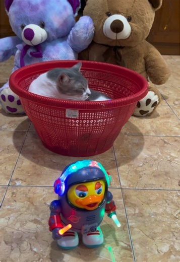 Mainan anak robot bebek luar angkasa joget #mainananak #mainanviral #mainanrobotbebekjoget #mainanrobotbebekastronot #sipalingaffiliate