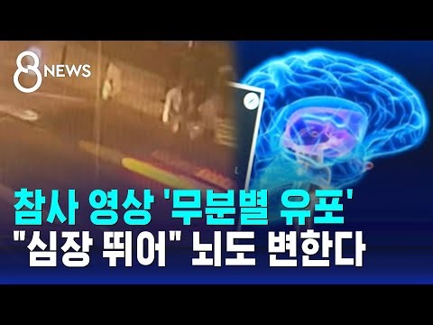 참사 영상 무분별 유포…"심장 뛰어" 뇌도 변한다 / SBS 8뉴스