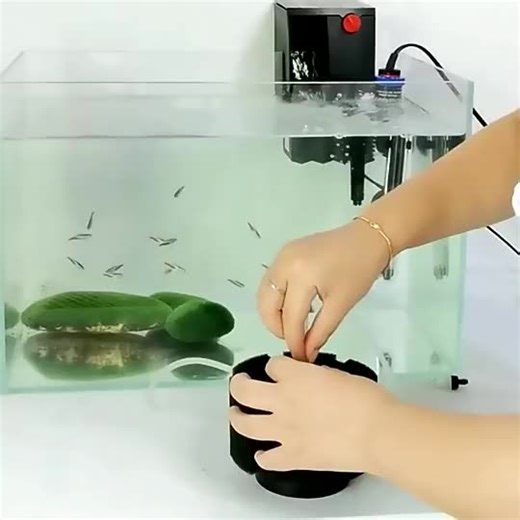 XinYou Bio Sponge Filter in Water Treatment Aquarium Sponge Filter XY-2835