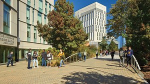 Conduct & Community Standards