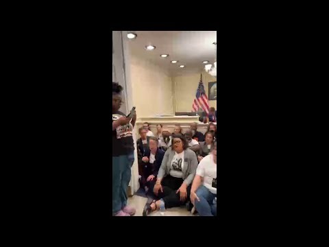 Florida protesters arrested outside DeSantis’s office