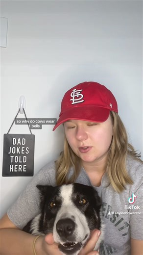 4.4K views · 198 reactions | Why do cows wear bells? #KayleesDailyJoke | Kaylee Bowers | Facebook