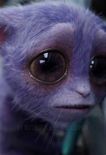 ЧУНЮ МУНЮ НАРУГАЛИ 😢 @LOOP ENERGY⚡️ #грустно #грустнаяистория