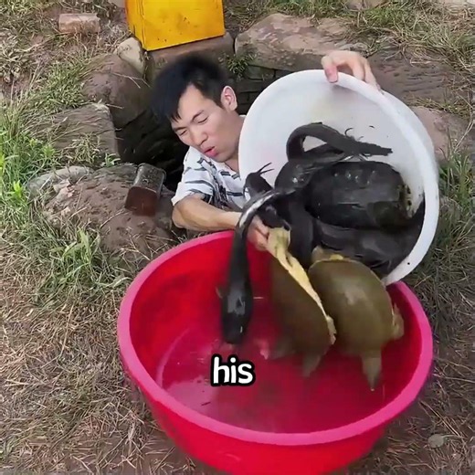 What do you think the man will do next?#funny #shorts
