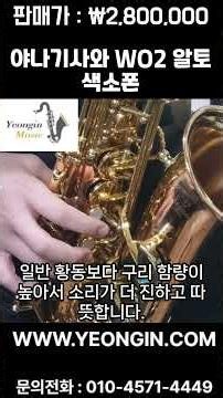 야나기사와 WO2 알토색소폰 280만