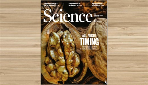 【易外刊】Science 科学杂志2025年全年合集下载PDF电子版高清网盘订阅