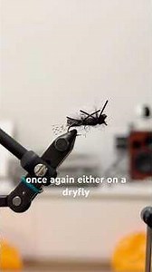 Tying a chubby Chernobyl for day 11 of our daily fly tying challenge. #flytying #flyfishing #trout