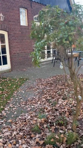 Rust en ruimte Even geen haast. Alleen jij, de vogels en de wind door de bomen. Huize Kroezzz — waar Twentse rust vanzelf je hoofd leegmaakt. #huizekroezzz #vakantie #vakantiehuis #hofvantwente #weekendjewegineigenland #hondvriendelijk #evenhelemaalniks | Huize Kroezzz vakantie woning in Twente