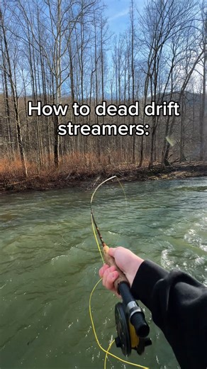 TROUT BANDIT ™ | What’s your favorite way to fish a streamer? #troutfishinginamerica #troutonthefly #flyfishingaddict #streamerjunkie #streamerfishing | Instagram