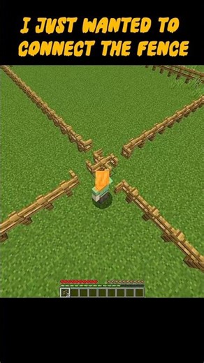 Bro I just wanted to connect the fence #minecraft #animationmeme