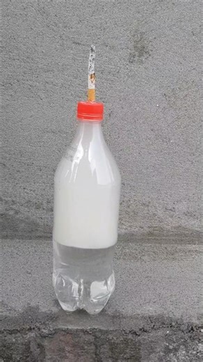 Amazing Bottle Science Experiment 😱 | DIY Short