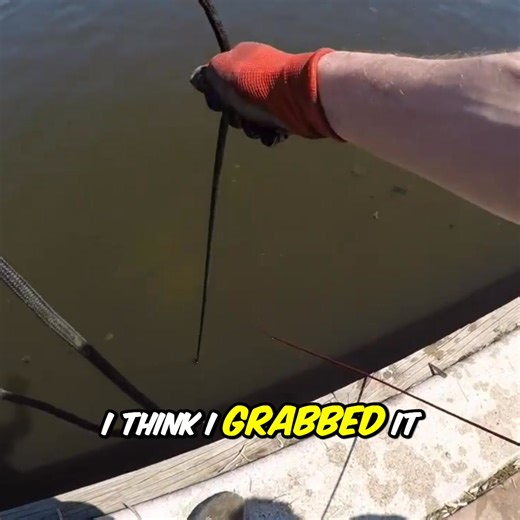 14K views · 317 reactions | This magnet fishing adventure turned up all sorts of things! Rocks, pieces of street signs, and even parts of a vending machine were pulled from the depths. What will they find next? #MagnetFishing #UrbanExploration #TreasureHunt #MetalDetecting #RiverFinds | The Fisher | Facebook