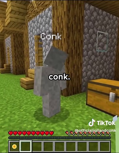 Conk Core Adventures in Minecraft: Friendship and Fun