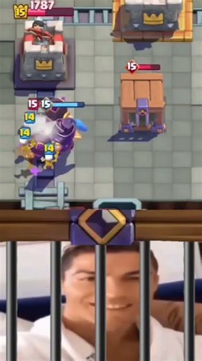 VIP box in the arena