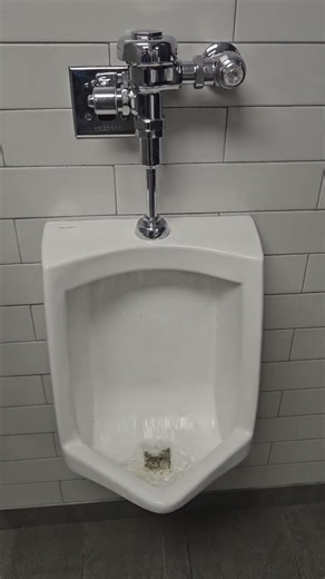 I didn't knew there was a button to flush this Urinal