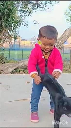 baby & goats playing videos#funny videos🤣🤣🤣🤣#yt #viral #shots