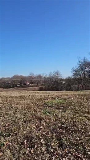 Update on the Ranch from my husband! 🥰 He’s working hard to get Ditto’s main pasture cleaned up, old fencing ripped out, and getting everything ready for new fencing to go up while I’m at the shop shipping and making orders this week. Thank you all so much for your support. I’m so excited to share this journey with y’all and can’t wait until we have Ditto here! Every single one of you are helping to make this all possible 💗 | Hot Headstalls