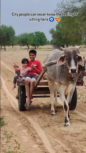 Village life🌾🧿❤️ #shortsfeed #love #villagelife #villagelifestyle #farmer #desi #shorts #viral