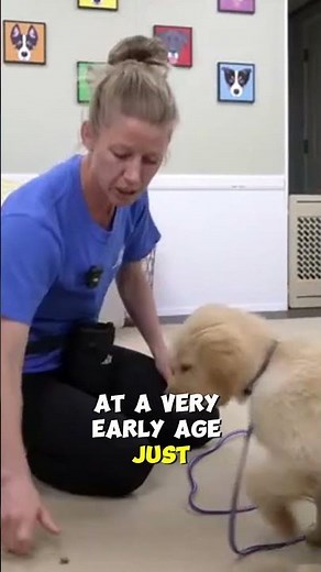 Teach Your Puppy Impulse Control with Food