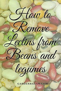 Does fermenting beans remove lectins? [2025] | QAQooking.wiki