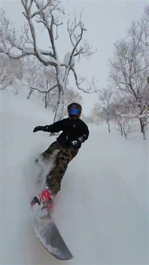 3亿人参与的滑雪盛宴！SnowSkiing PowderSnow