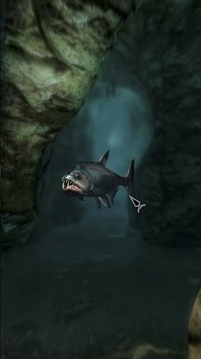 What they don't tell you about vampire fish | Skyrim Gameplay Highlights