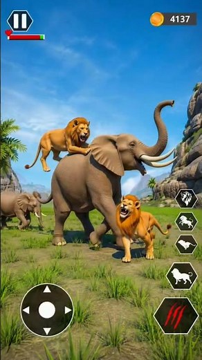 Training Mode | Wild Lion Family 3D Simulator 🦁 | Lion Attack & Survival Gameplay #animalgame
