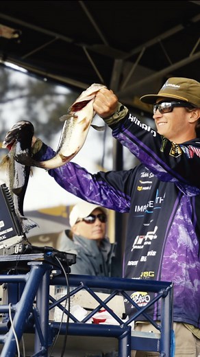 The Albemarle Sound YouTube video is up! Head over to my channel or click the link in my bio to give it a watch! Lots of swim jig hook sets and good music in this one! • • • @impulselithium @bassproshops @yamamoto_fishing @billlewisfishing @cudabrand @the_frog_factory @bucca_brand @morris_shea @sylacaugamarine @nitroboats @mercurymarine @picassolures @ryugijapan @costabassfishing @fletch_printing_and_creative @humminbirdfishing @minnkotamotors @fish_shimano_north_america @str8up_mounts @plinefis